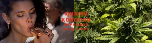 apvp Арсеньев