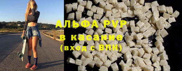 хмурый Аркадак