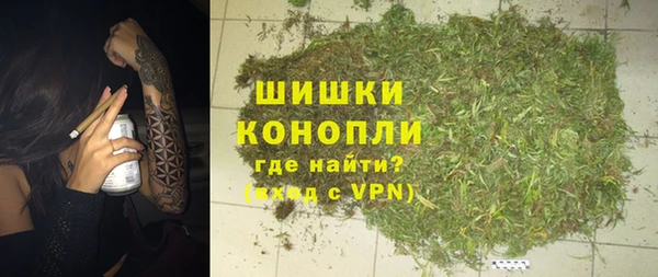 хмурый Аркадак