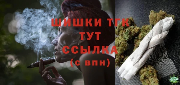 хмурый Аркадак