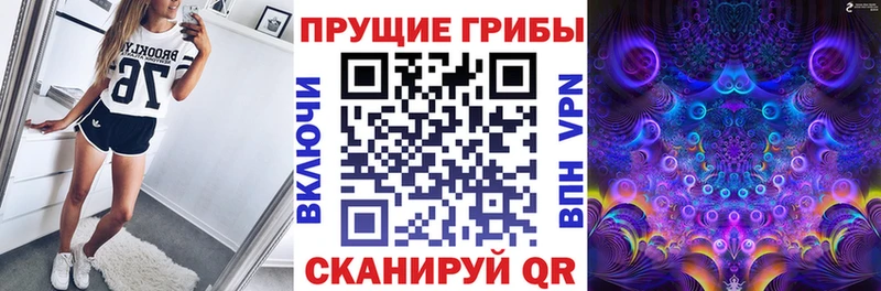 Купить закладки  Волосово  Галлюциногенные грибы Psilocybine cubensis 
